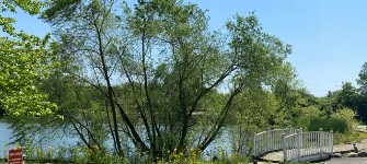 Scenic Pond