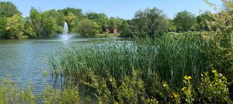 Colonial Crest Pond